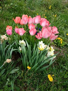 IMG_20240414_143019.jpg