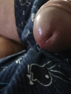 IMG_20241113_123856.jpg