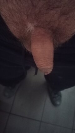 IMG_20241114_145622.jpg