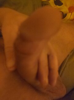 IMG_20241115_101735.jpg