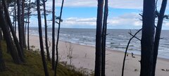 IMG_20240929_125631.jpg