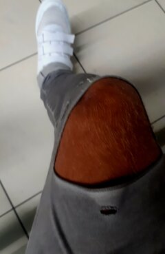 20241117_211859.jpg