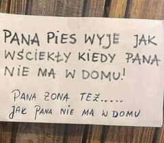 pies 1 .jpg