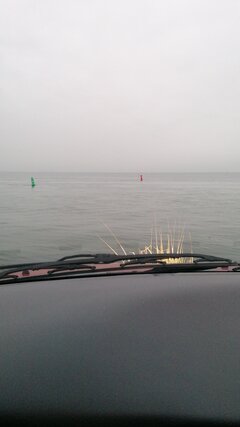 IMG-20241101-WA0004.jpeg