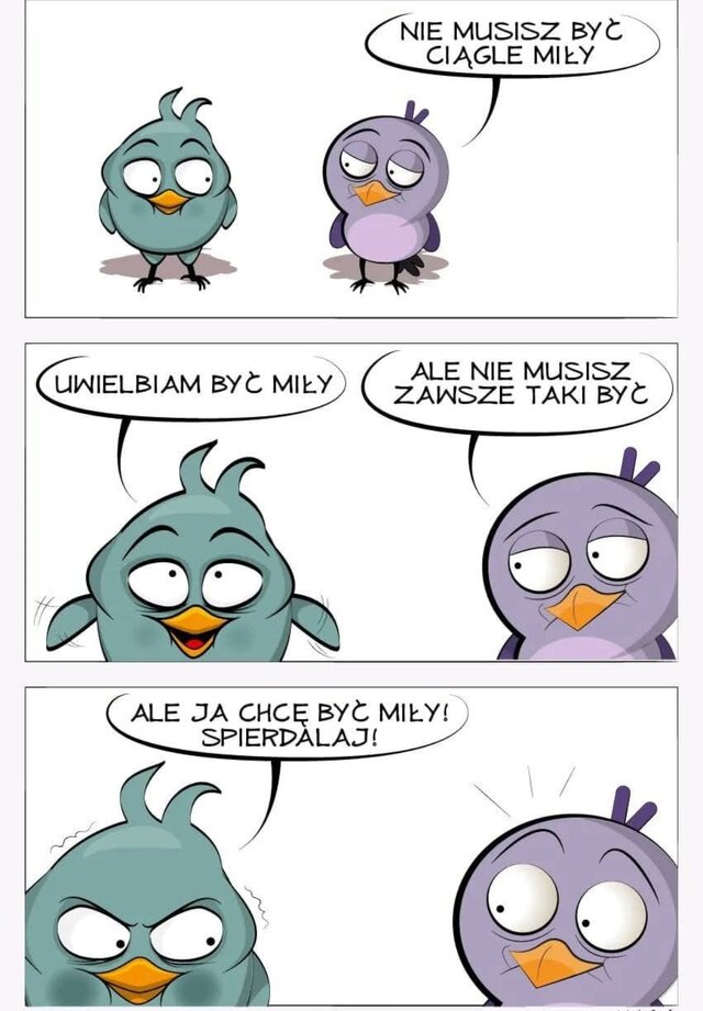 _Enigma_tyczna_