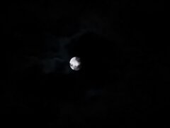 IMG_20241115_195136.jpg