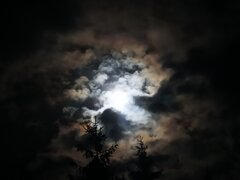 IMG_20241115_195154.jpg