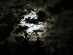 IMG_20241115_195120.jpg