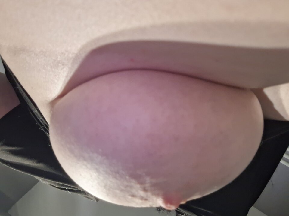 20241119_211734.jpg - Fajna_Tygrysiczka