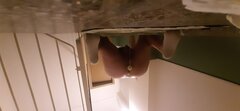 20241118_055702.jpg