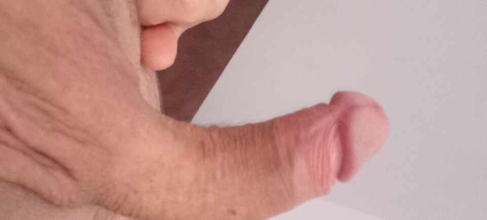 20241121_074448.jpg - Miluskikotek