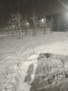 IMG_20241122_053133.jpg