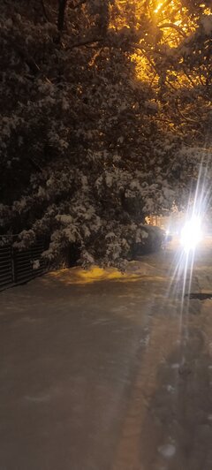 Katowice 22.11.24