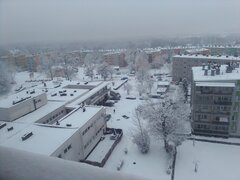 IMG_20241122_074040.jpg