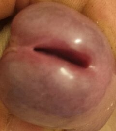 20241123_163120.jpg