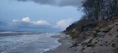 IMG_20241123_160359.jpg