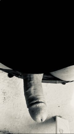 IMG_2716.jpeg