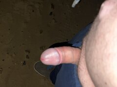 IMG_2250.jpeg