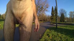 PARK ŚLĄSKI - 20241127_1404.mp4_snapshot_00.23.237.jpg