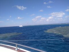 IMG_20241127_112735.jpg