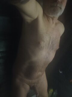 IMG_20241129_060338_721.jpg