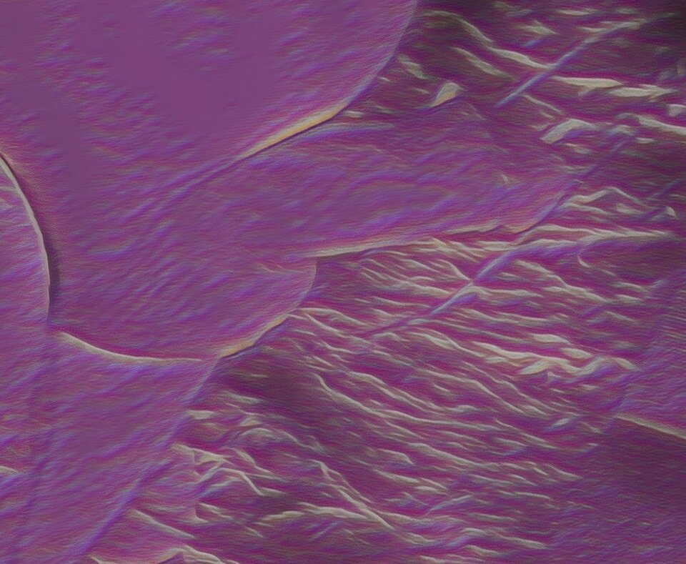 1000008961.jpg - ViscaelB