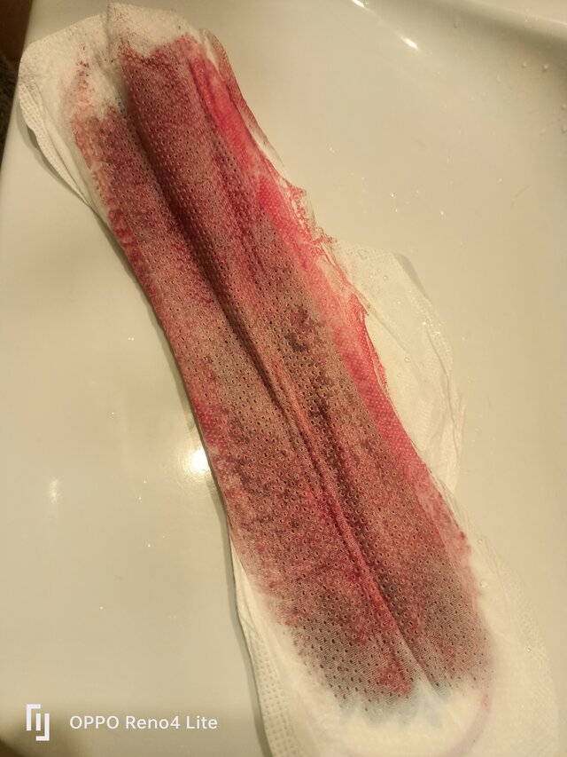 rasowa_suka45