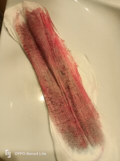 IMG20241201095355.jpg