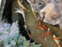 IMG_6119.jpeg