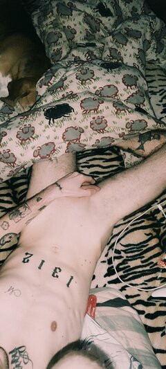 e8eed99acdc671d8cb65e468c356e4c8.jpg