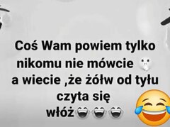 FB_IMG_1733231072575.jpg