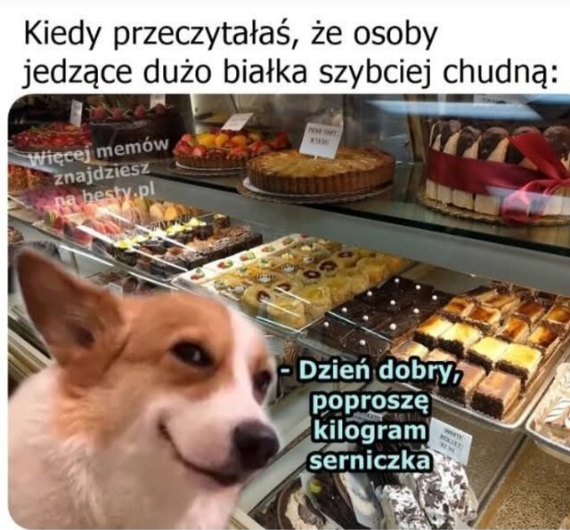 _Enigma_tyczna_