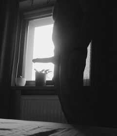 IMG_20241207_112455.jpg