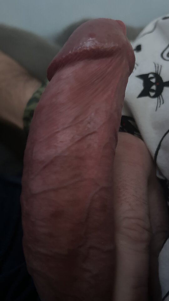 IMG_2882.jpeg - bondjames728