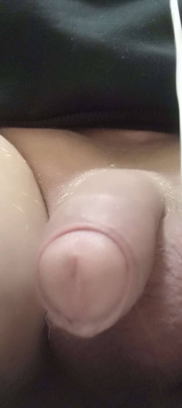 OPitt