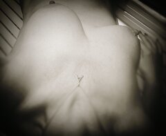 IMG_20241208_153958.jpg