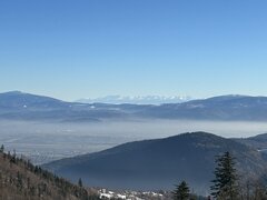 IMG_2417.jpeg