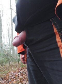 IMG_20241211_140054.jpg
