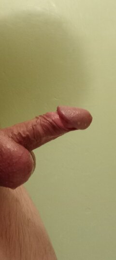 IMG_20241009_095421.jpg