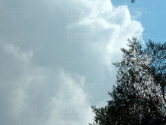 IMG_20210717_151008_57CS.jpg