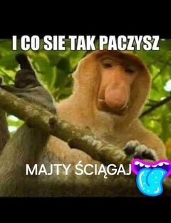 FB_IMG_1734054047326.jpg