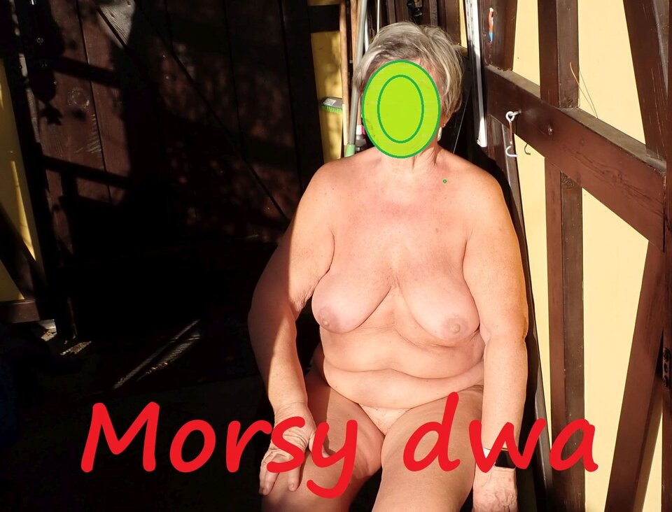 W jesiennym słoneczku. - Morsy_dwa