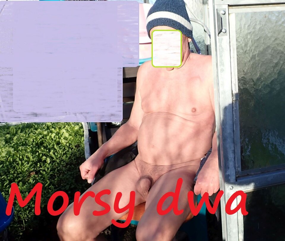 W jesiennym słoneczku. - Morsy_dwa
