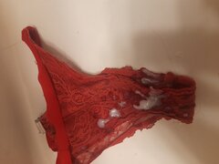20241208_084226.jpg