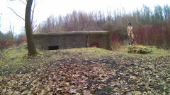 DOLINA GÓRNIKA - Bunkier 20241214.mp4_snapshot_00.20.100.jpg