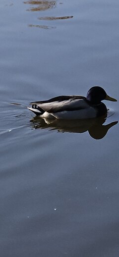 20241026_130212.jpg
