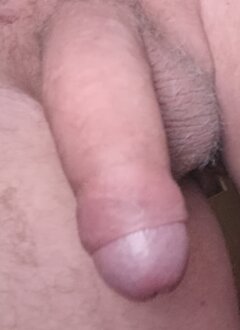IMG20241215101733.jpg