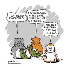poniedziałek.jpg