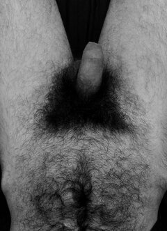 IMG_20241217_072121.jpg