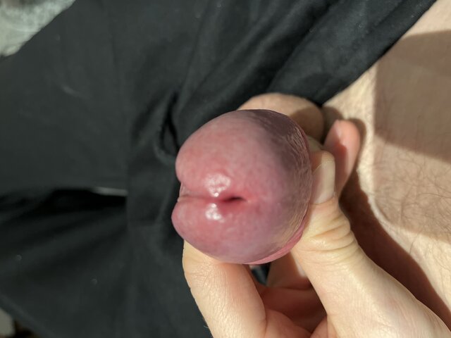 micoangelo1